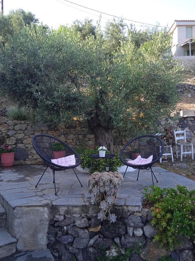 Marianna Studios Agios Petros  ภายนอก รูปภาพ